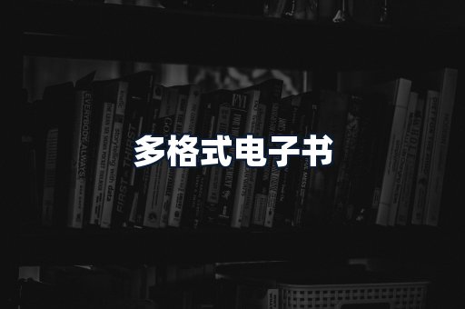 多格式电子书